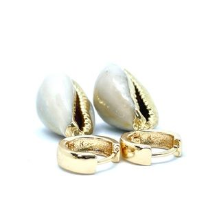 14k Gold Filled Tarnish-Free Cowrie Shell Earrings